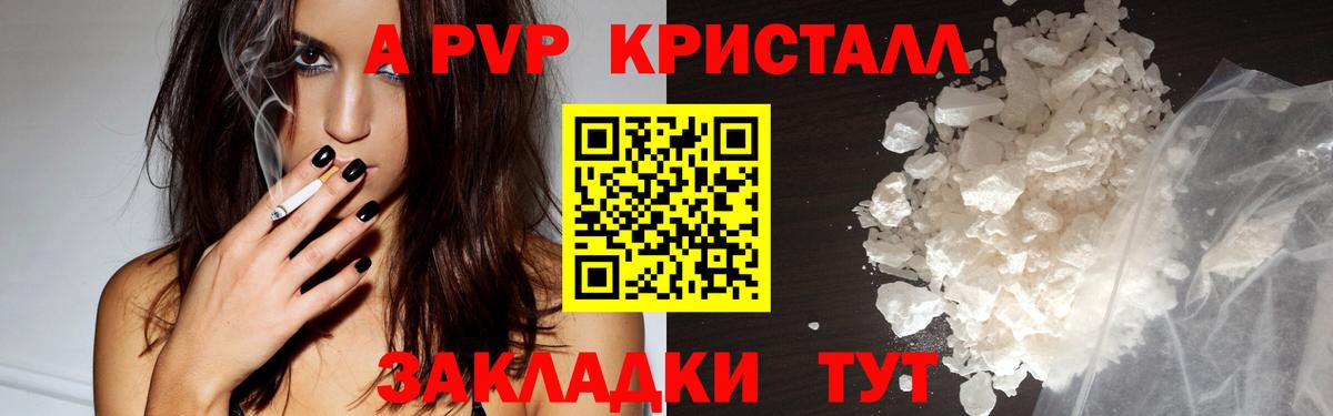 APVP СК КРИС Гай