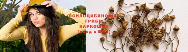 спайс Бронницы