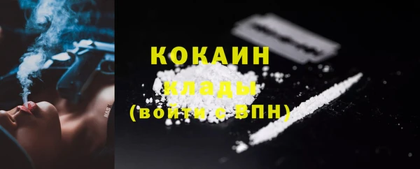 дурь Богородицк