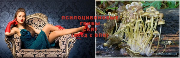 спайс Бронницы