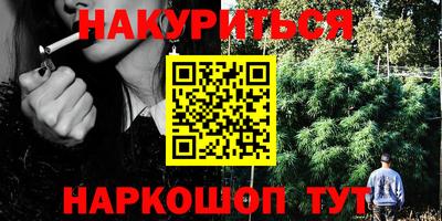 ешки Гатчина