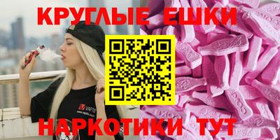 jwh Гатчина