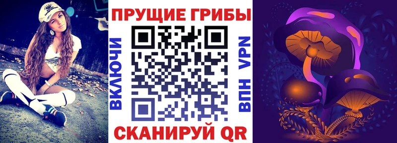 купить закладку  Гай  Галлюциногенные грибы Magic Shrooms 