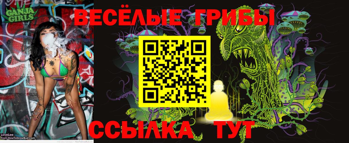 купить   Галлюциногенные грибы прущие грибы  Вход с VPN  Гай 