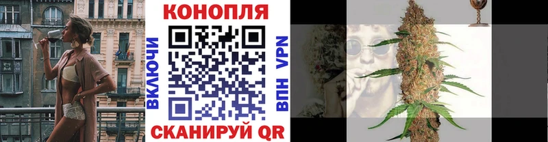 даркнет наркотические препараты  Гай  Конопля ГИДРОПОН 